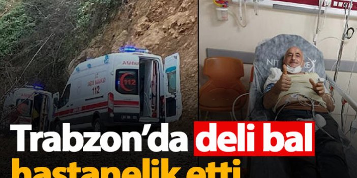 Trabzon'da deli bal hastanelik etti