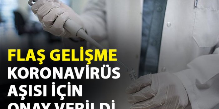 Türkiye'de Koronavirüs aşısı için onay verildi!