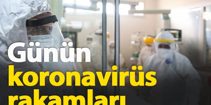 Türkiye'de günün koronavirüs aşısı - 14.01.2021