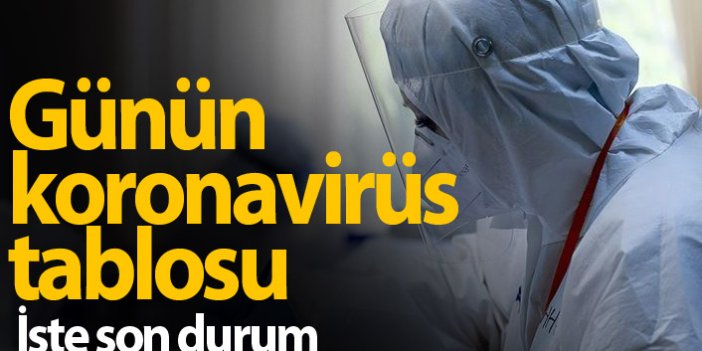 Türkiye'de günün koronavirüs raporu 20.01.2021