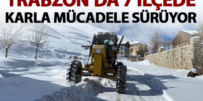 Trabzon'da 7 ilçede karla mücadele