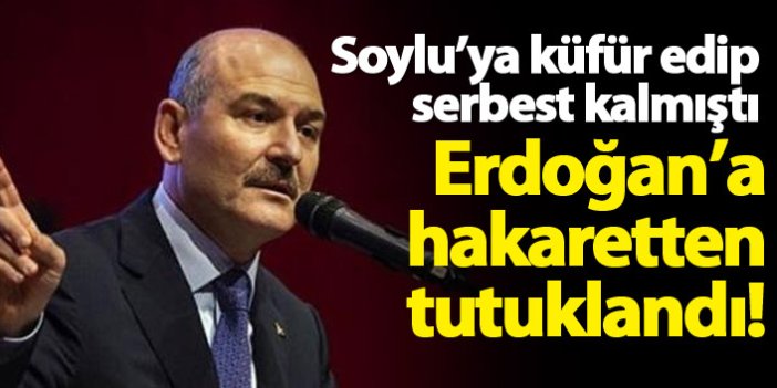 Bakan Soylu'ya küfredip serbest kalmıştı, Erdoğan'a hakaretten tutuklandı!
