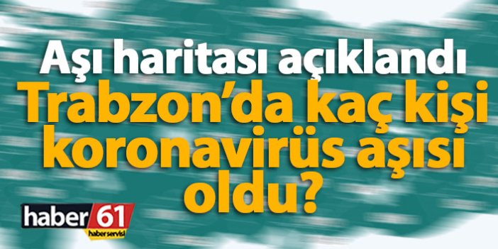 Trabzon'da kaç kişi aşı oldu?