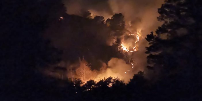 Trabzon'da orman yangını! Ekipler müdahale ediyor