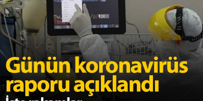 Türkiye'de günün koronavirüs raporu - 30.01.2021