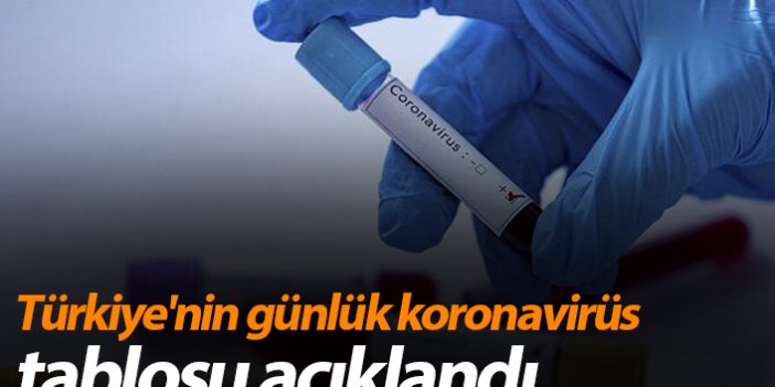 Türkiye'nin günlük koronavirüs tablosu açıklandı