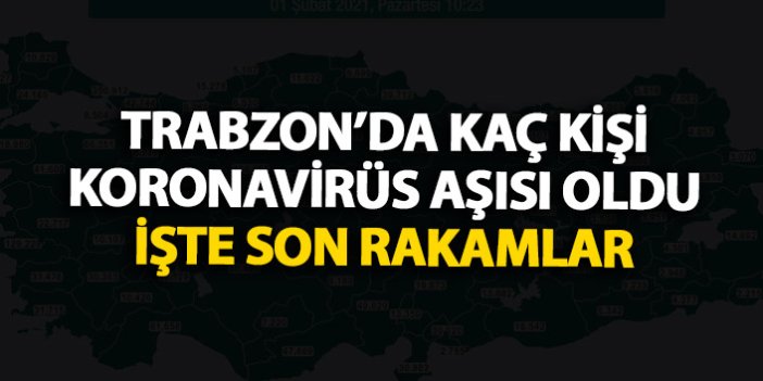 Trabzon'da bugüne kadar kaç kişi aşılandı? İşte rakamlar