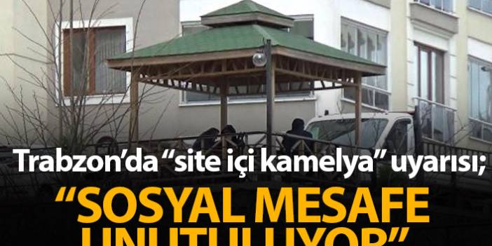 Trabzon'da kamelya uyarısı: Sosyal mesafe unutuluyor