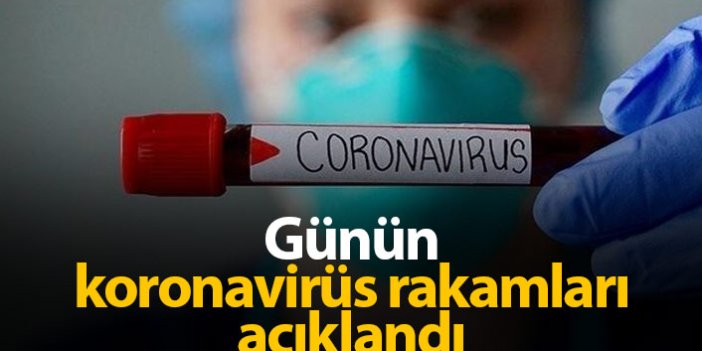 Türkiye'de günün koronavirüs raporu 01.02.2021