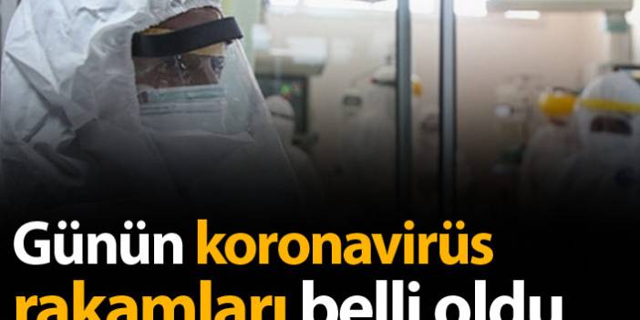 Türkiye'de günün koronavirüs raporu - 07.02.2021