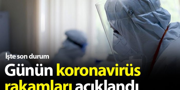 Türkiye'de günün koronavirüs raporu - 10.02.2021