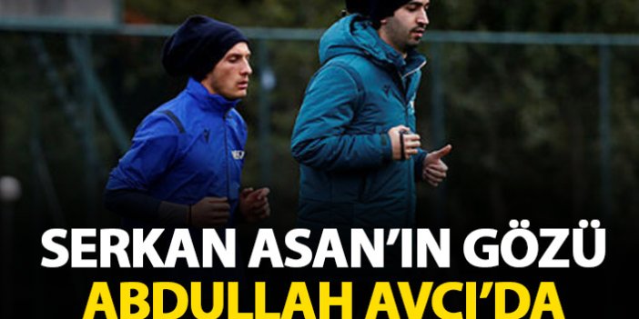 Serkan Asan'ın gözü Abdullah Avcı'da