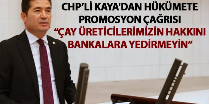 CHP'li Kaya'dan hükümete promosyon çağrısı: Çay üreticilerimizin hakkını bankalara yedirmeyin