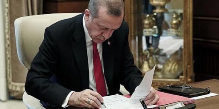 Cumhurbaşkanı Erdoğan'a yeni danışman! Resmi gazetede yayımlandı