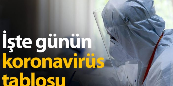 Türkiye'nin koronavirüs raporu - 13.02.2021