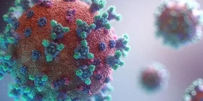 7 farklı koronavirüs mutasyonu daha ortaya çıktı