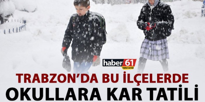 Trabzon'da bazı ilçelerde okullarda kar tatili uzatıldı