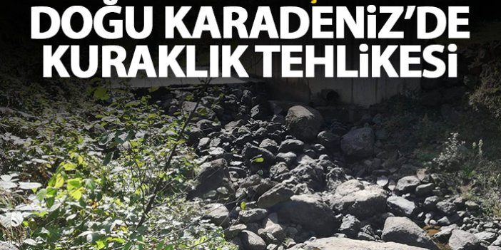 Türkiye’nin en fazla yağış alan bölgesinde yağış miktarları azalıyor