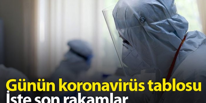 Türkiye'de günün koronavirüs raporu - 22.02.2021