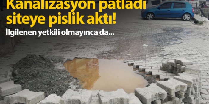 Trabzon'da patlayan kanalizasyon şebekesi sitenin içine aktı