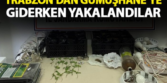 Trabzon'dan Gümüşhane'ye uyuşturucu ticaretine suçüstü