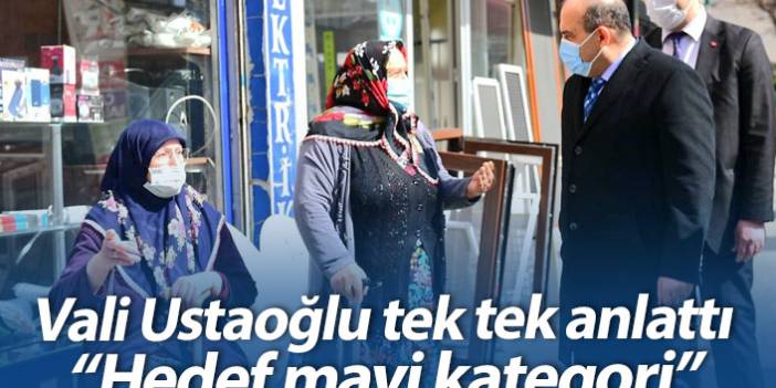 Vali Ustaoğlu: Hedef mavi kategori