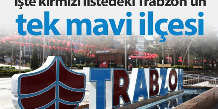 Trabzon'un tek "mavi" ilçesi