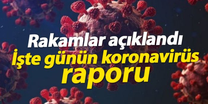 Türkiye'de günün koronavirüs raporu 25.03.2021