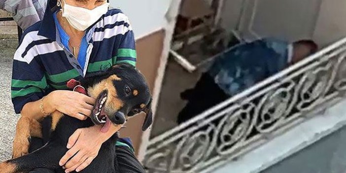Trabzon'da köpeğini döven kişiyi görüntüledi diye dava açılmıştı, karar verildi