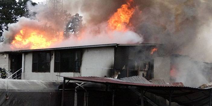 Ordu’da mobilya üretim tesisinde yangın: iki bina küle döndü