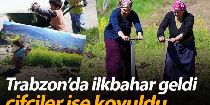 Trabzon'da çiftçiler tarla temizliklerine başladı
