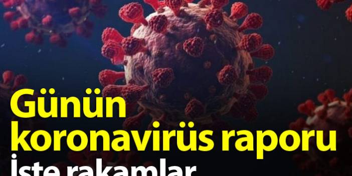 Türkiye'de günün koronavirüs raporu 04.04.2021