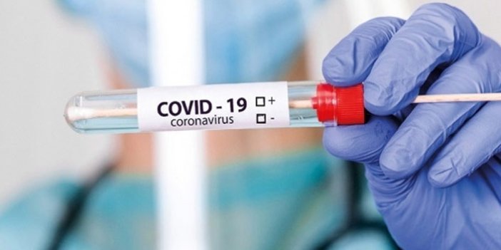 DSÖ, koronavirüsün insanlardan hayvanlara bulaşma ihtimalini doğruladı