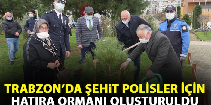 Trabzon'da şehit polisler için hatıra ormanı