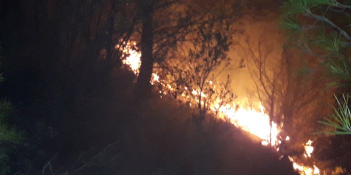 Muğla'da, 5'er dakika arayla ormanlık iki alanda yangın