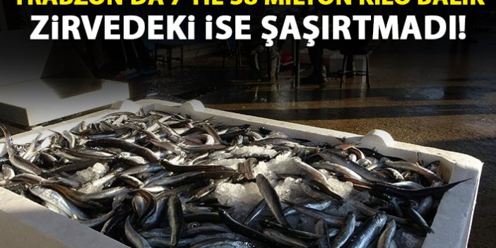 Trabzon'da son 7 yılda 40 milyon kilogram balık!
