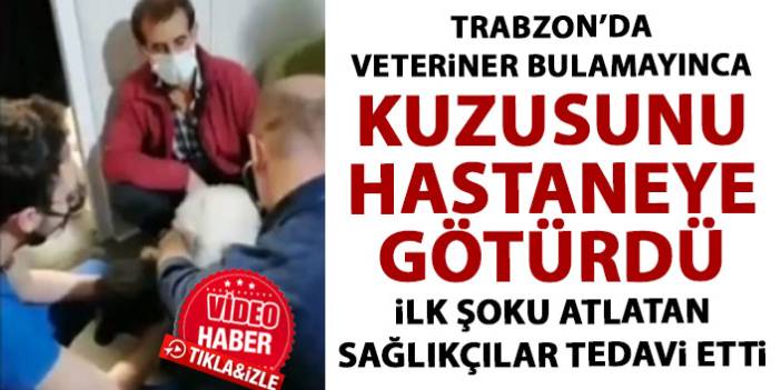 Trabzon'da kuzusu hastalanan vatandaş soluğu acilde aldı