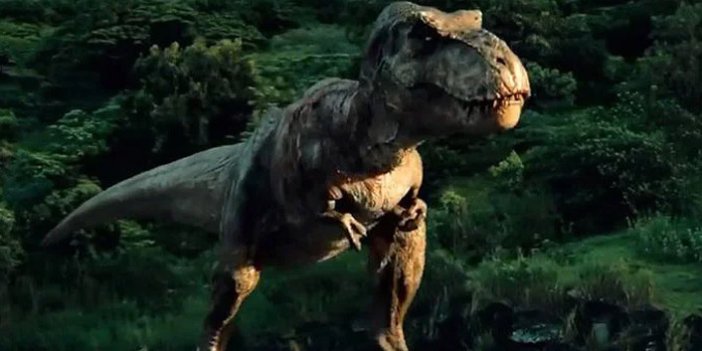 'T-Rex'lerle ilgili önemliş gerçek ortaya çıktı