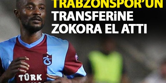 Trabzonspor'un transferine Zokora el attı