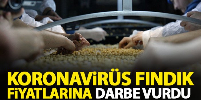 Koronavirüs fındık fiyatlarına darbe vurdu