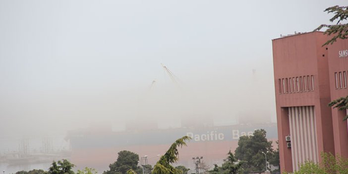 Samsun Limanı'nı toz bulutu sardı