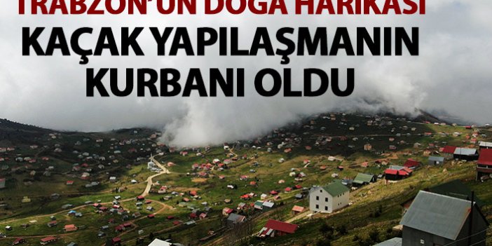 Trabzon'un doğa harikası kaçak yapılaşma kurbanı oldu