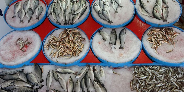 Av yasağı sonrası tezgahlar kültür balıklarına kaldı