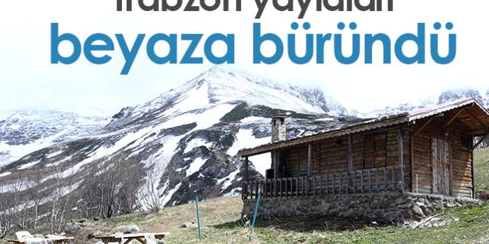 Trabzon'da yaylalar beyaza büründü