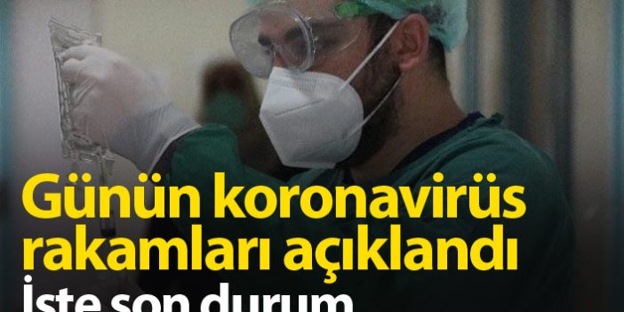 Türkiye'de günün koronavirüs raporu 14.05.2021