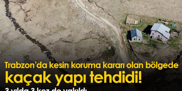 Trabzon'daki turba bataklığında kaçak yapı tehdidi