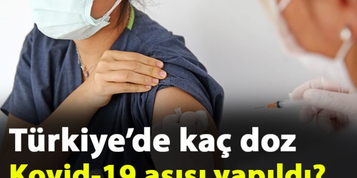 Türkiye'de uygulanan koronavirüs aşı miktarı 25 milyon dozu geçti