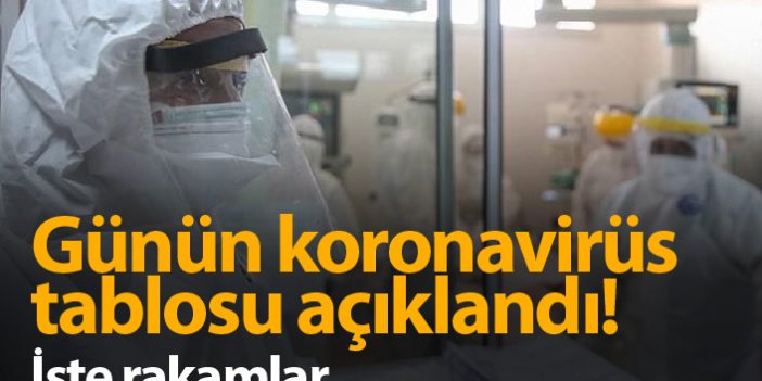 Türkiye'de günün koronavirüs raporu - 16.05.2021