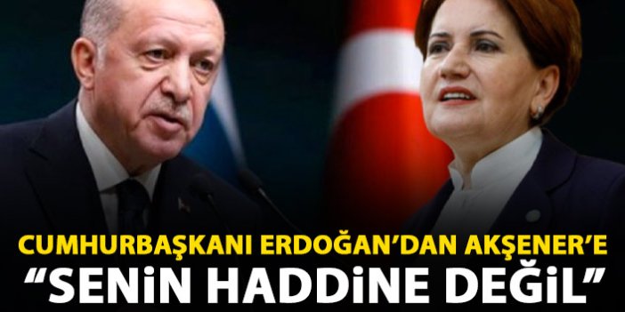 Cumhurbaşkanı Erdoğan'dan Akşener'e sert tepki: Senin haddine değil