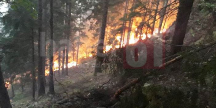 Trabzon’da orman yangını! Müdahale sürüyor